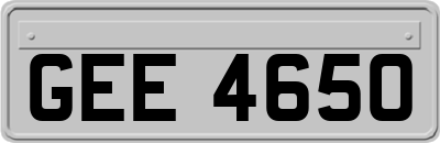 GEE4650