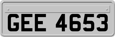 GEE4653