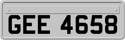 GEE4658