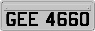 GEE4660