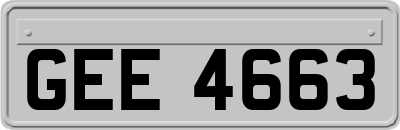 GEE4663