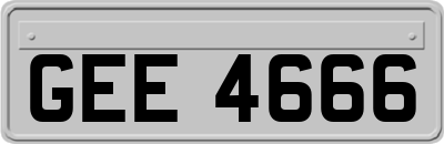 GEE4666