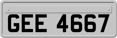 GEE4667