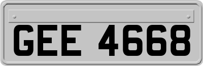 GEE4668