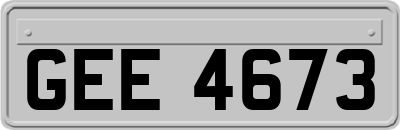 GEE4673