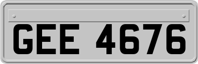 GEE4676