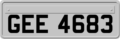 GEE4683