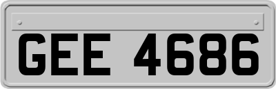 GEE4686