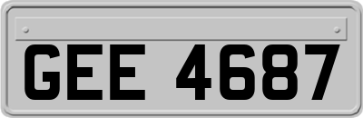 GEE4687