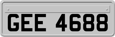 GEE4688