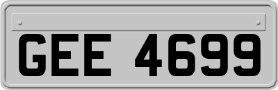 GEE4699