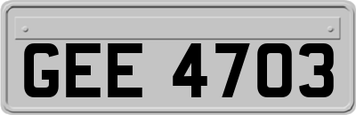 GEE4703