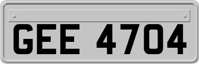 GEE4704