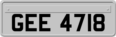 GEE4718