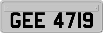 GEE4719