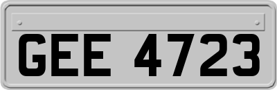 GEE4723