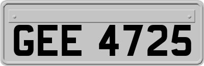 GEE4725