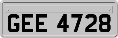 GEE4728