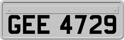 GEE4729