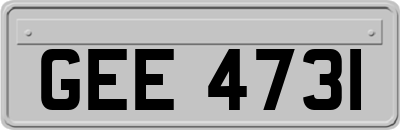 GEE4731