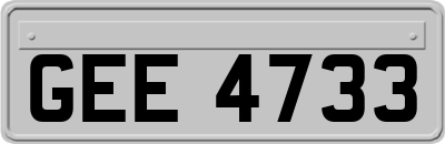 GEE4733