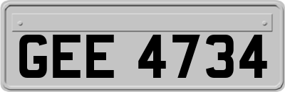 GEE4734