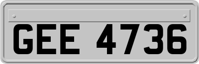 GEE4736