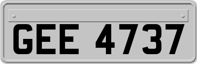 GEE4737