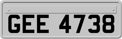 GEE4738