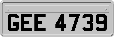 GEE4739