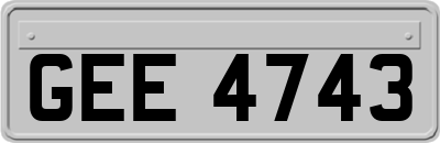GEE4743