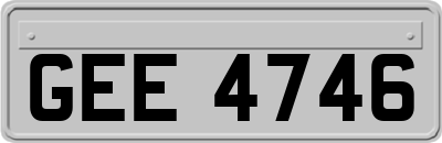 GEE4746