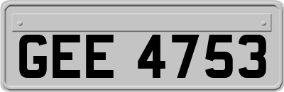GEE4753