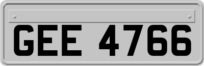 GEE4766