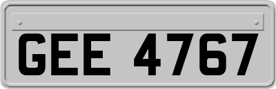 GEE4767