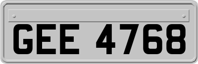 GEE4768