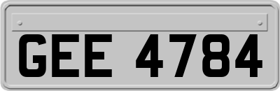 GEE4784