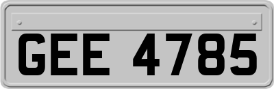 GEE4785