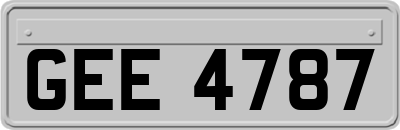 GEE4787