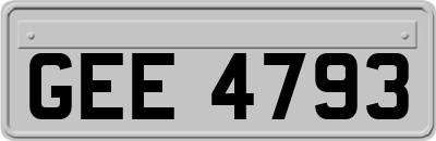 GEE4793