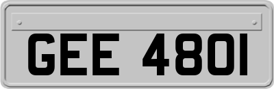 GEE4801