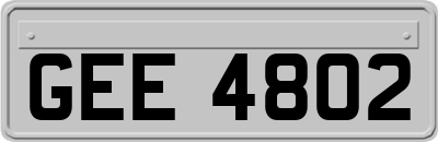 GEE4802