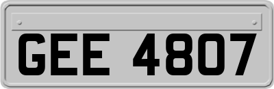 GEE4807