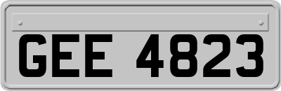 GEE4823