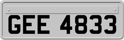 GEE4833