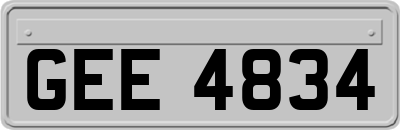 GEE4834