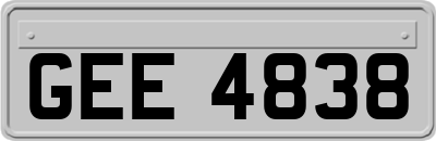 GEE4838