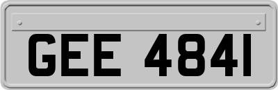 GEE4841