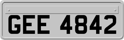 GEE4842