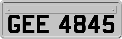 GEE4845